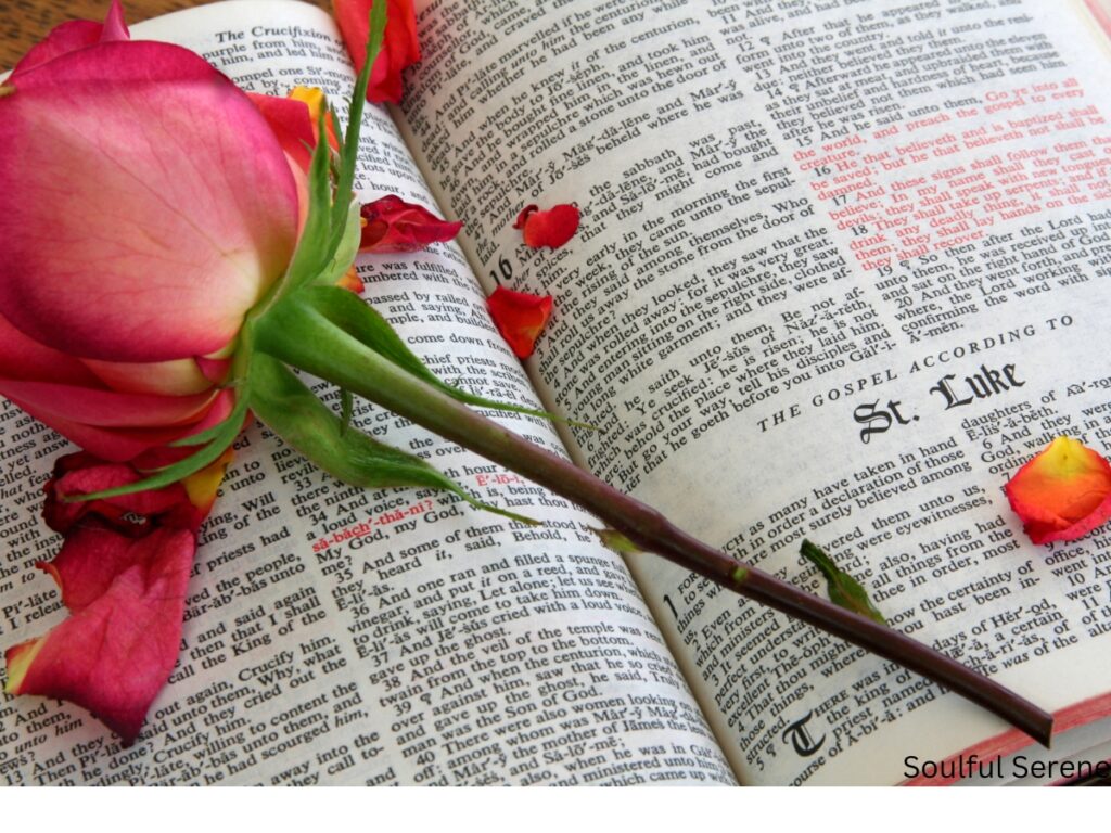 A picture of an open Bible with a rose on top depicting our topic